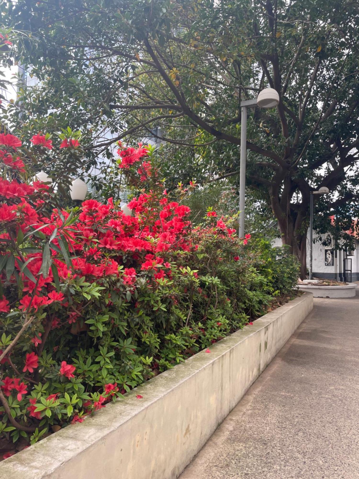 Hotel บิเซนเตโลเปซ ภายนอก รูปภาพ